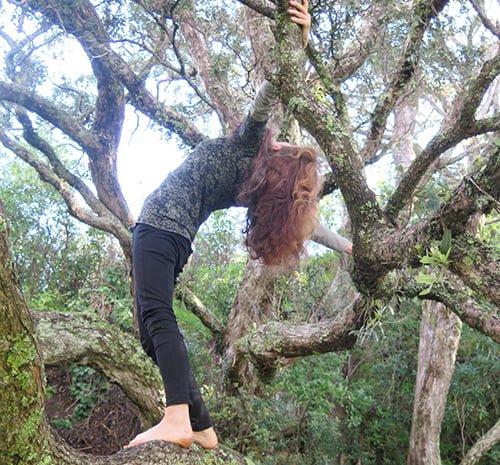 Dyana Wells, nature