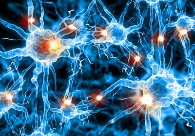 cell-neurons-400px