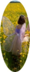 Fairies image